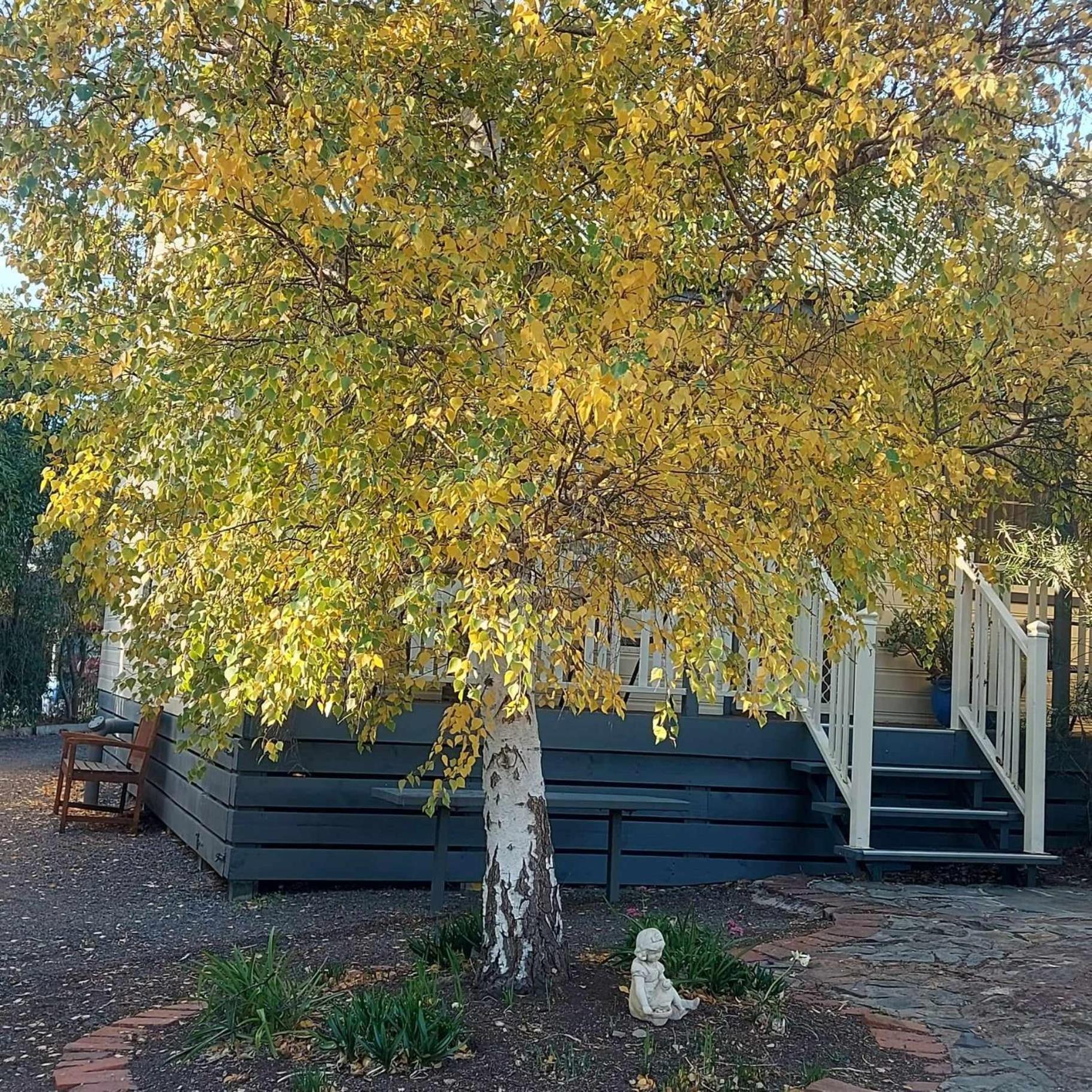 Avoca Cottages Victoria エクステリア 写真